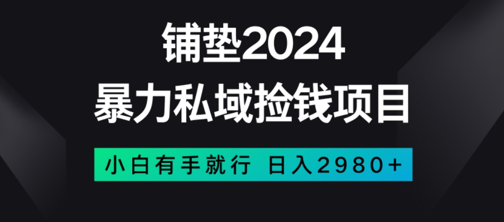 暴力私域捡钱项目，小白无脑操作，日入2980【揭秘】-聚富社