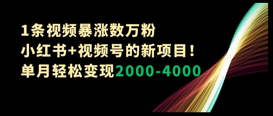 1条视频暴涨数万粉–小红书+视频号的新项目!单月轻松变现2000-4000【揭秘】-聚富社