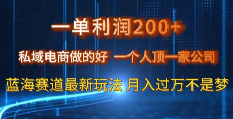 一单利润200私域电商做的好，一个人顶一家公司蓝海赛道最新玩法【揭秘】-聚富社