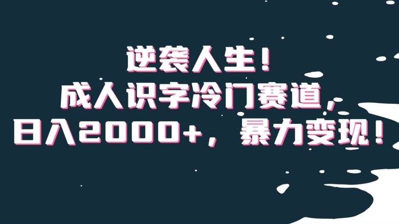 逆袭人生!成人识字冷门赛道,日入2000+,暴力变现!【揭秘】-聚富社