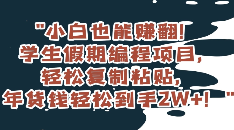 小白也能赚翻!学生假期编程项目,轻松复制粘贴,年货钱轻松到手2W+【揭秘】-聚富社