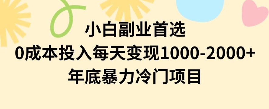 小白副业首选，0成本投入，每天变现1000-2000年底暴力冷门项目【揭秘】-聚富社