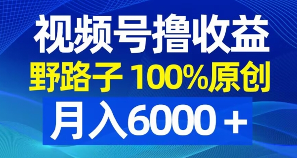 视频号野路子撸收益，100%原创，条条爆款，月入6000＋【揭秘】-聚富社