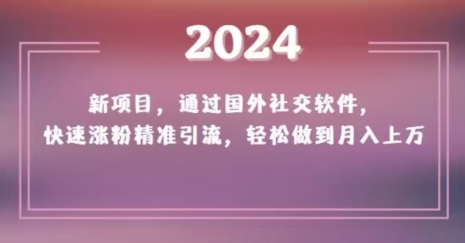 2024新项目,通过国外社交软件,快速涨粉精准引流,轻松做到月入上万【揭秘】-聚富社
