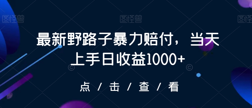 最新野路子暴力赔付，当天上手日收益1000+【仅揭秘】-聚富社