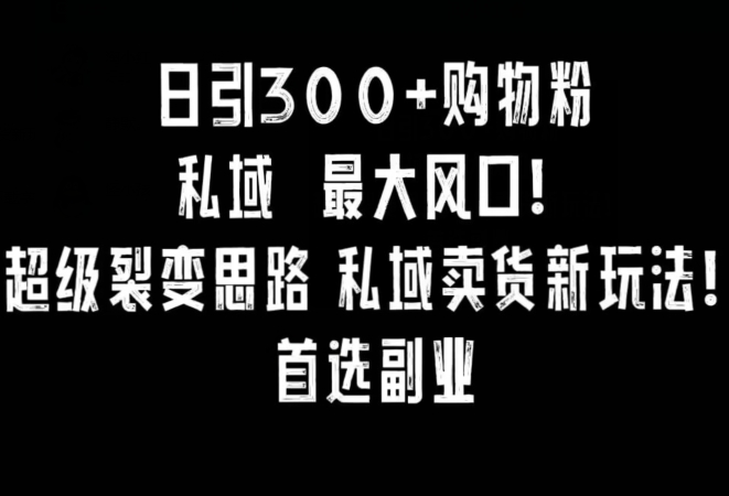日引300+购物粉,超级裂变思路,私域卖货新玩法,小红书首选副业【揭秘】-聚富社