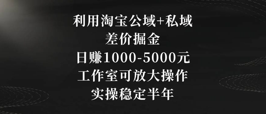 利用淘宝公域+私域差价掘金,日赚1000-5000元,工作室可放大操作,实操稳定半年【揭秘】-聚富社