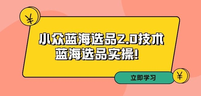 拼多多培训第33期:小众蓝海选品2.0技术-蓝海选品实操!-聚富社