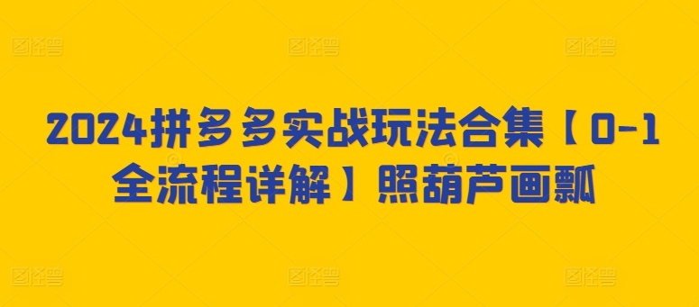 2024拼多多实战玩法合集【0-1全流程详解】照葫芦画瓢-聚富社