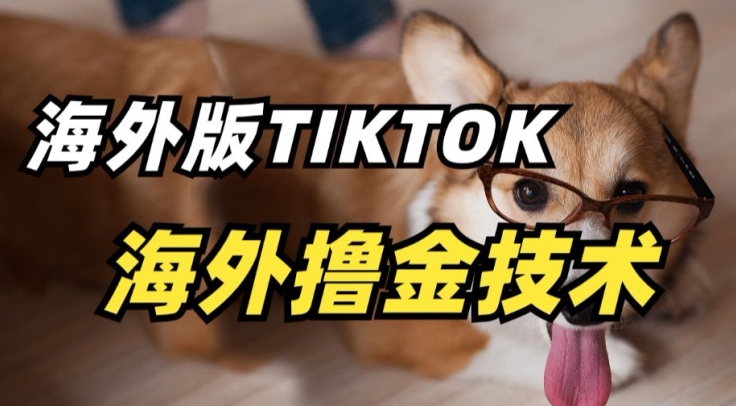 抖音海外版tiktok撸金技术,这个风口行业,赚钱真的不难【揭秘】-聚富社
