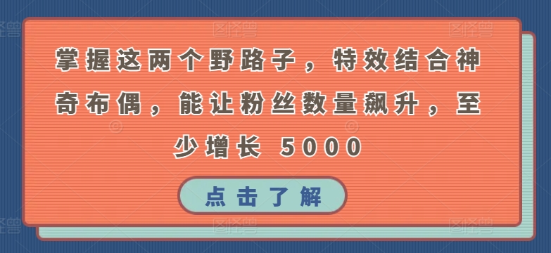 掌握这两个野路子,特效结合神奇布偶,能让粉丝数量飙升,至少增长 5000【揭秘】-聚富社