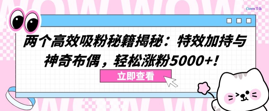 两个高效吸粉秘籍揭秘:特效加持与神奇布偶,轻松涨粉5000+【揭秘】-聚富社