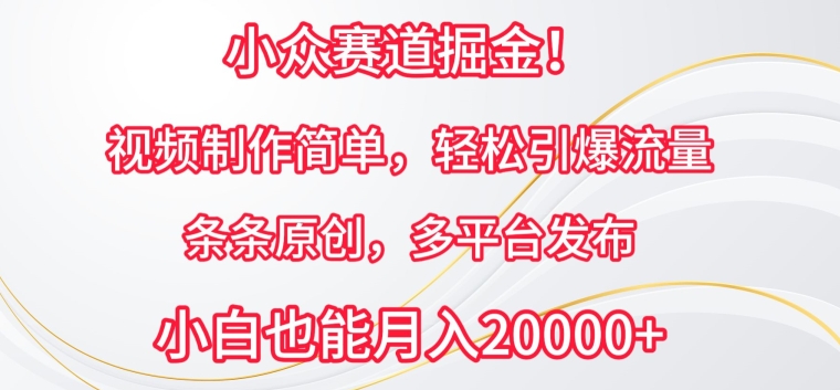 小众赛道掘金,视频制作简单,轻松引爆流量,条条原创,多平台发布【揭秘】-聚富社