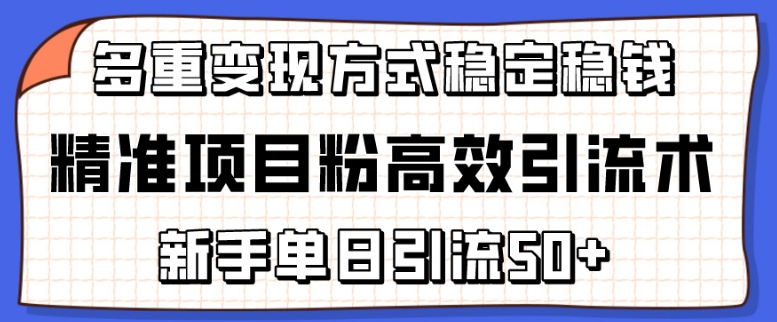 精准项目粉高效引流术,新手单日引流50+,多重变现方式稳定赚钱【揭秘】-聚富社