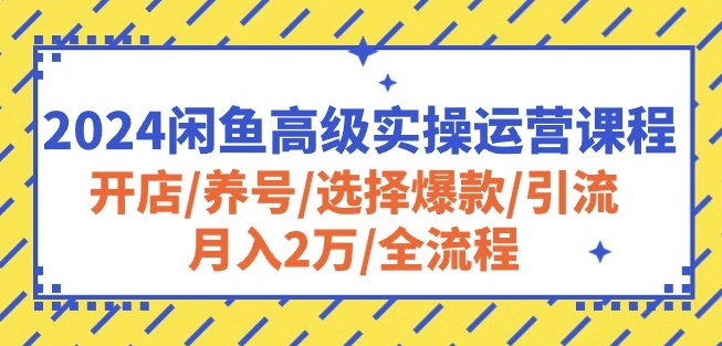 2024闲鱼高级实操运营课程:开店/养号/选择爆款/引流/月入2万/全流程-聚富社