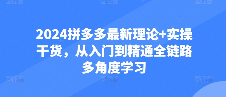 2024拼多多最新理论+实操干货,从入门到精通全链路多角度学习-聚富社