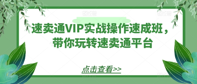 速卖通VIP实战操作速成班,带你玩转速卖通平台-聚富社
