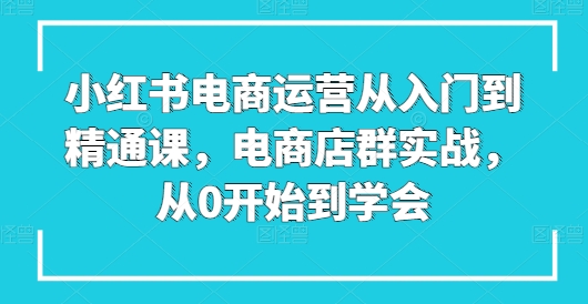 小红书电商运营从入门到精通课,电商店群实战,从0开始到学会-聚富社