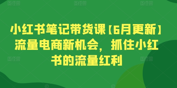 小红书笔记带货课【6月更新】流量电商新机会,抓住小红书的流量红利-聚富社