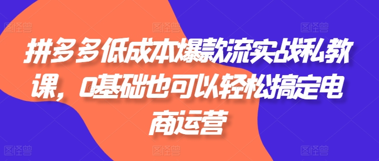 拼多多低成本爆款流实战私教课,0基础也可以轻松搞定电商运营-聚富社