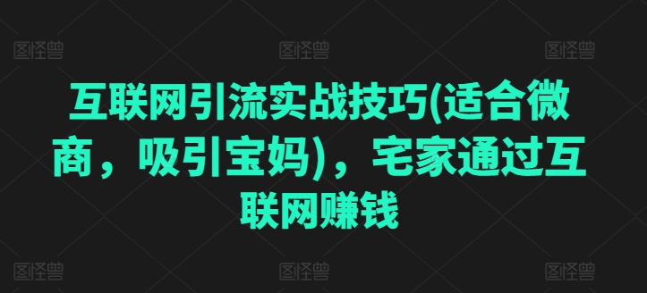 互联网引流实战技巧(适合微商，吸引宝妈)，宅家通过互联网赚钱-聚富社