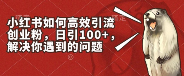 小红书如何高效引流创业粉,日引100+,解决你遇到的问题【揭秘】-聚富社