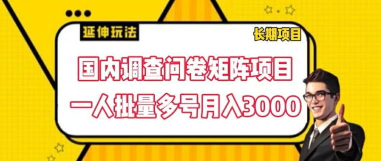 国内调查问卷矩阵项目,一人批量多号月入3000【揭秘】-聚富社
