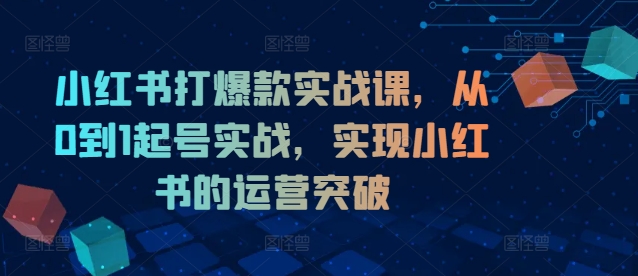 小红书打爆款实战课,从0到1起号实战,实现小红书的运营突破-聚富社