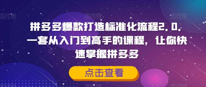 拼多多爆款打造标准化流程2.0,一套从入门到高手的课程,让你快速掌握拼多多-聚富社