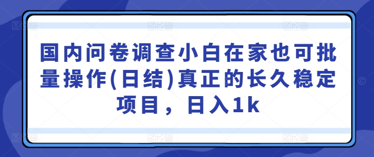 国内问卷调查小白在家也可批量操作(日结)真正的长久稳定项目,日入1k【揭秘】-聚富社