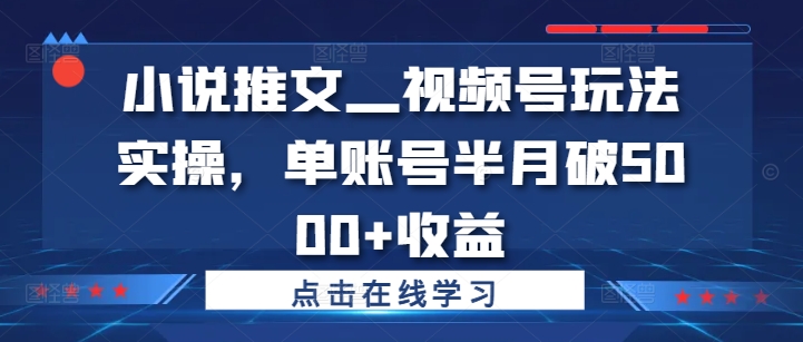 小说推文—视频号玩法实操,单账号半月破5000+收益-聚富社
