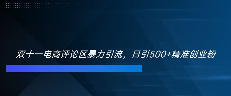 双十一电商评论区暴力引流,日引500+精准创业粉【揭秘】-聚富社