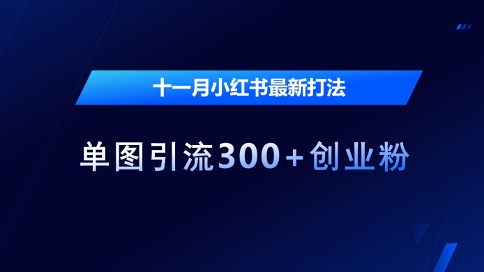 十一月小红书最新打法,单图引流300+创业粉【揭秘】-聚富社