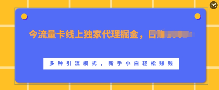 流量卡线上独家代理掘金,日入1k+ ,多种引流模式,新手小白轻松上手【揭秘】-聚富社