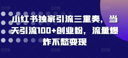 小红书独家引流三重奏，当天引流100+创业粉，流量爆炸不愁变现【揭秘】-聚富社
