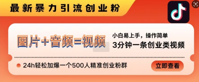 抖音最新暴力引流创业粉,3分钟一条创业类视频,24h轻松加爆一个500人精准创业粉群【揭秘】-聚富社