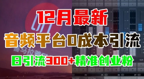 12月最新:音频平台0成本引流,日引流300+精准创业粉-聚富社