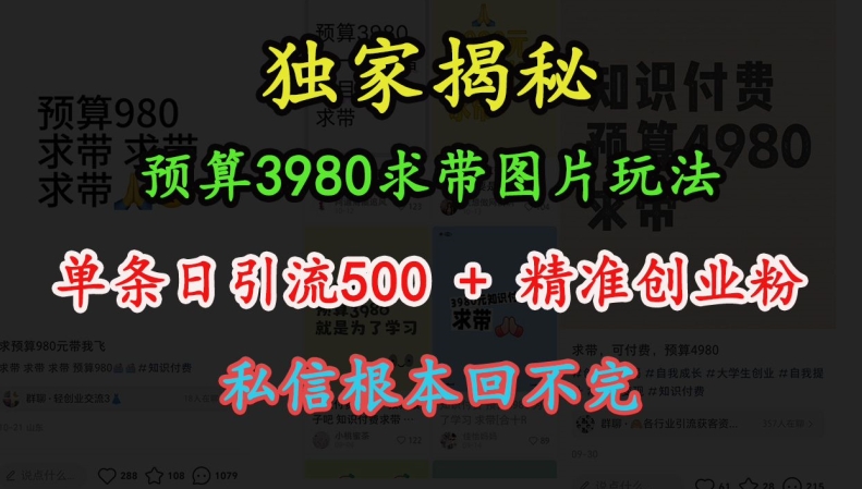预算3980求带 图片玩法,单条日引流500+精准创业粉,私信根本回不完-聚富社