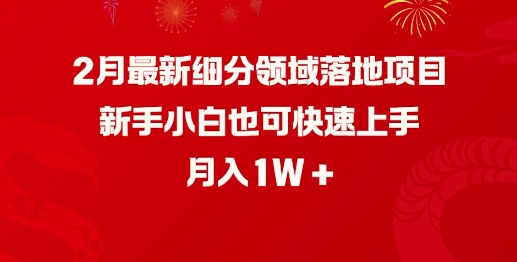 2月最新细分领域落地项目,新手小白也可快速上手,月入1W-聚富社