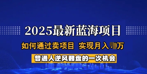 2025蓝海项目,普通人如何通过卖项目,实现月入过W,全过程【揭秘】-聚富社