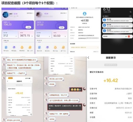 当天能收益的3个小项目拆解_包括平台+操作流程-聚富社