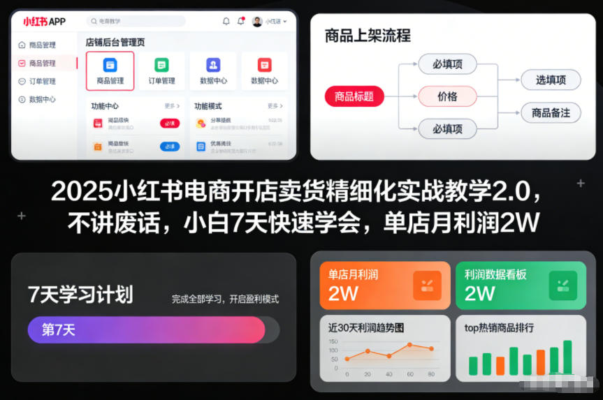 2025小红书电商开店卖货精细化实战教学2.0，不讲废话，小白7天快速学会，单店月利润2W-聚富社