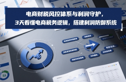 电商财税风控体系与利润守护，3天看懂电商税务逻辑，搭建利润防御系统-聚富社