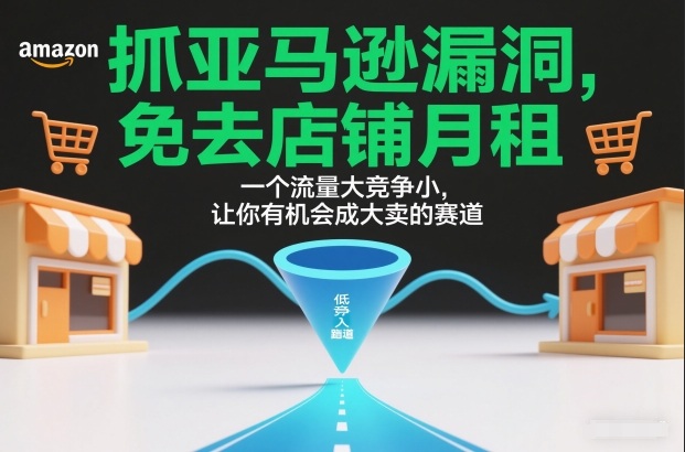 抓亚马逊漏洞，免去店铺月租，一个流量大竞争小，让你有机会成大卖的赛道-聚富社
