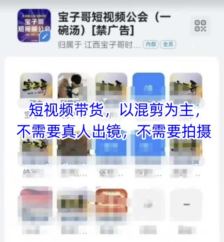 宝子哥头部团队短视频带货，以混剪为主，不需要真人出镜，不需要拍摄【更新26年3月】-聚富社