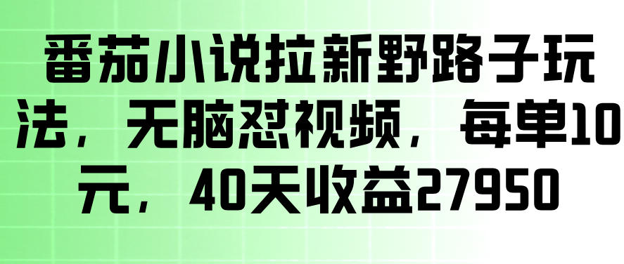 番茄小说拉新野路子玩法，无脑怼视频，玩法简单、见效快，每单10米，40天收益27950-聚富社