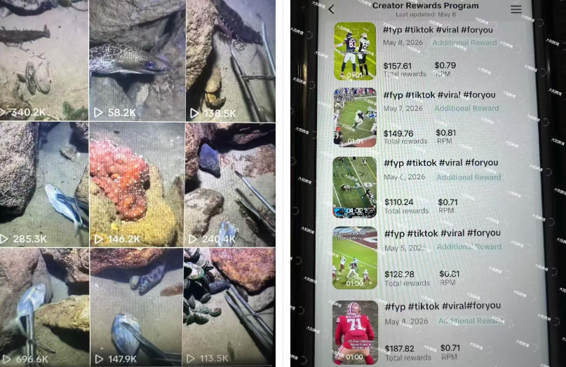 Tiktok中视频解说教程，体育+温情文案双赛道实操教程一站式带你落地，教你出海賺美刀-聚富社