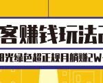 淘客赚钱玩法2.0,阳光绿色超正规项目,月躺赚2W+【视频课程】-聚富社