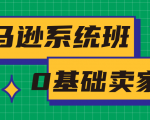 亚马逊系统班,专为0基础卖家量身打造,亚马逊运营流程与架构-聚富社