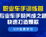 职业车手训练营:专业车手的养成之路,快速打造爆款(8节-无水印直播课)-聚富社